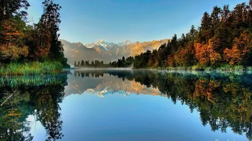 新型智慧全自动